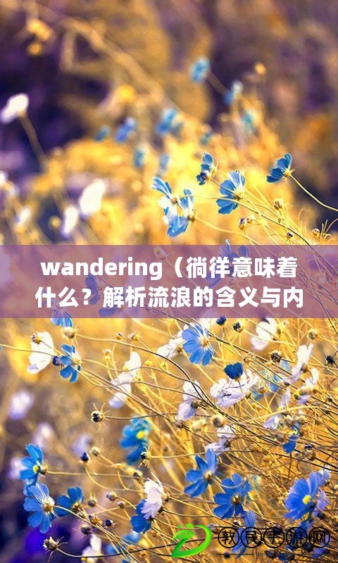 wandering（徜徉意味著什么？解析流浪的含義與內(nèi)涵！）