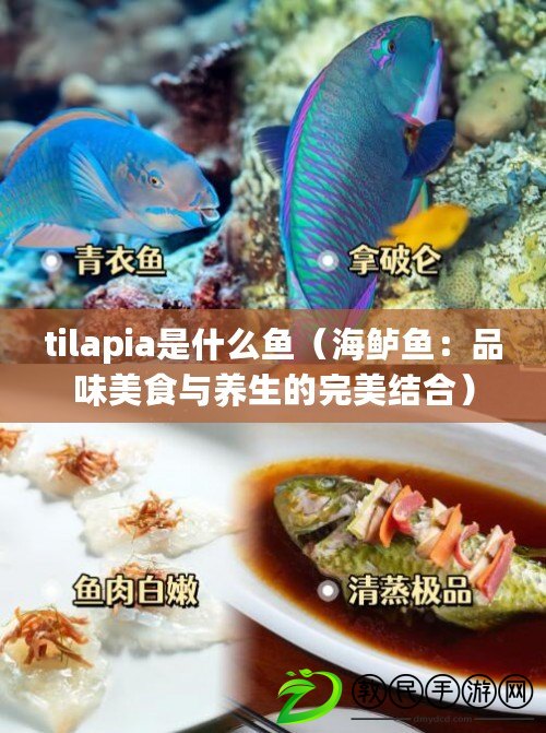 tilapia是什么魚（海鱸魚：品味美食與養(yǎng)生的完美結(jié)合）