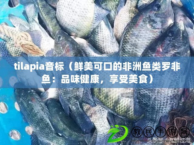 tilapia音標(biāo)（鮮美可口的非洲魚類羅非魚：品味健康，享受美食）