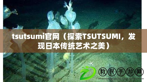 tsutsumi官網(wǎng)（探索TSUTSUMI，發(fā)現(xiàn)日本傳統(tǒng)藝術(shù)之美）