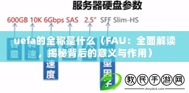 uefa的全稱是什么（FAU：全面解讀，揭秘背后的意義與作用）