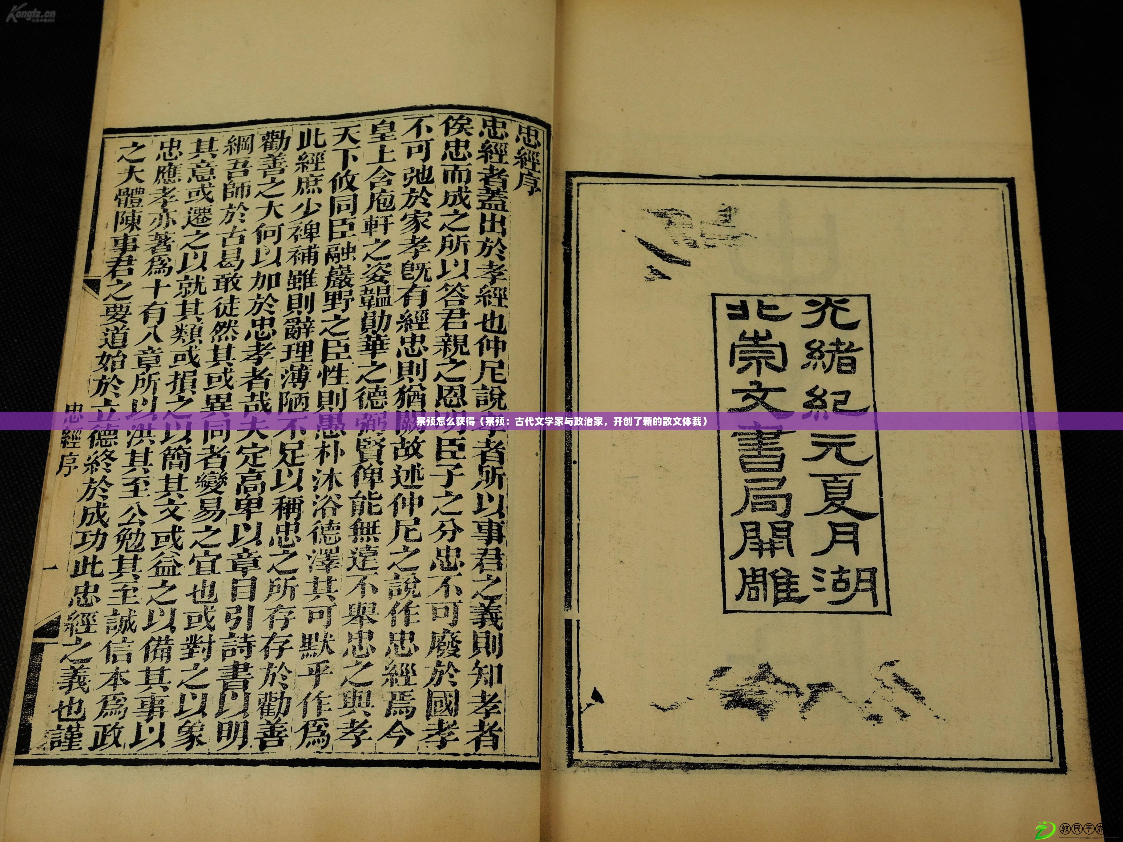 宗預(yù)怎么獲得（宗預(yù)：古代文學(xué)家與政治家，開創(chuàng)了新的散文體裁）