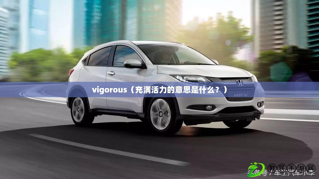 vigorous（充滿活力的意思是什么？）