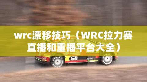 wrc漂移技巧（WRC拉力賽直播和重播平臺(tái)大全）