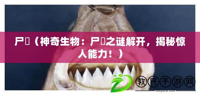 尸蟞（神奇生物：尸蟞之謎解開，揭秘驚人能力?。? title=