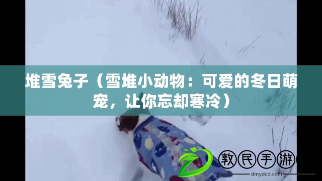 堆雪兔子（雪堆小動物：可愛的冬日萌寵，讓你忘卻寒冷）