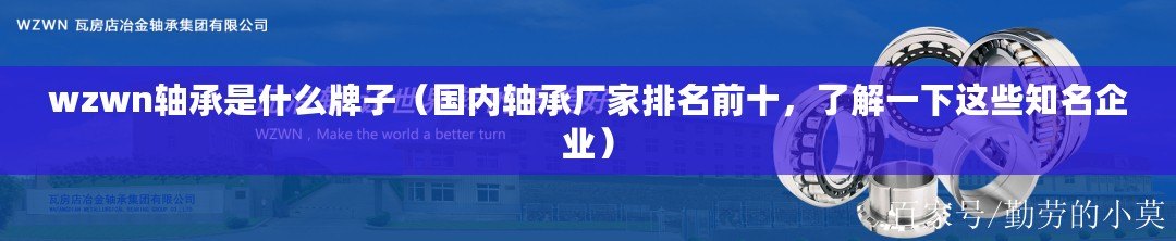 wzwn軸承是什么牌子（國內(nèi)軸承廠家排名前十，了解一下這些知名企業(yè)）