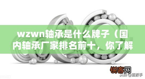 wzwn軸承是什么牌子（國內(nèi)軸承廠家排名前十，你了解多少？）