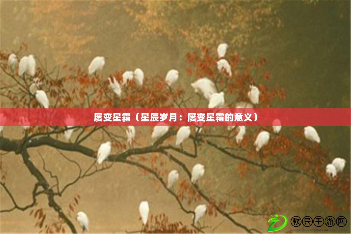 屢變星霜（星辰歲月：屢變星霜的意義）