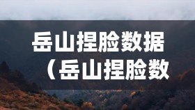 岳山捏臉數(shù)據(jù)（岳山捏臉數(shù)據(jù)二維碼全收錄，打造最全面的捏臉工具庫(kù)，助你快速定制個(gè)性化角色形象）