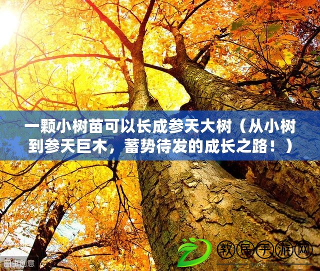 一顆小樹苗可以長成參天大樹（從小樹到參天巨木，蓄勢待發(fā)的成長之路?。? title=