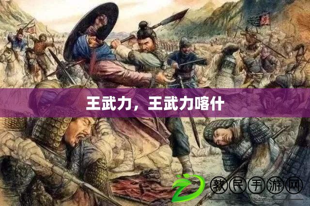 王武力，王武力喀什