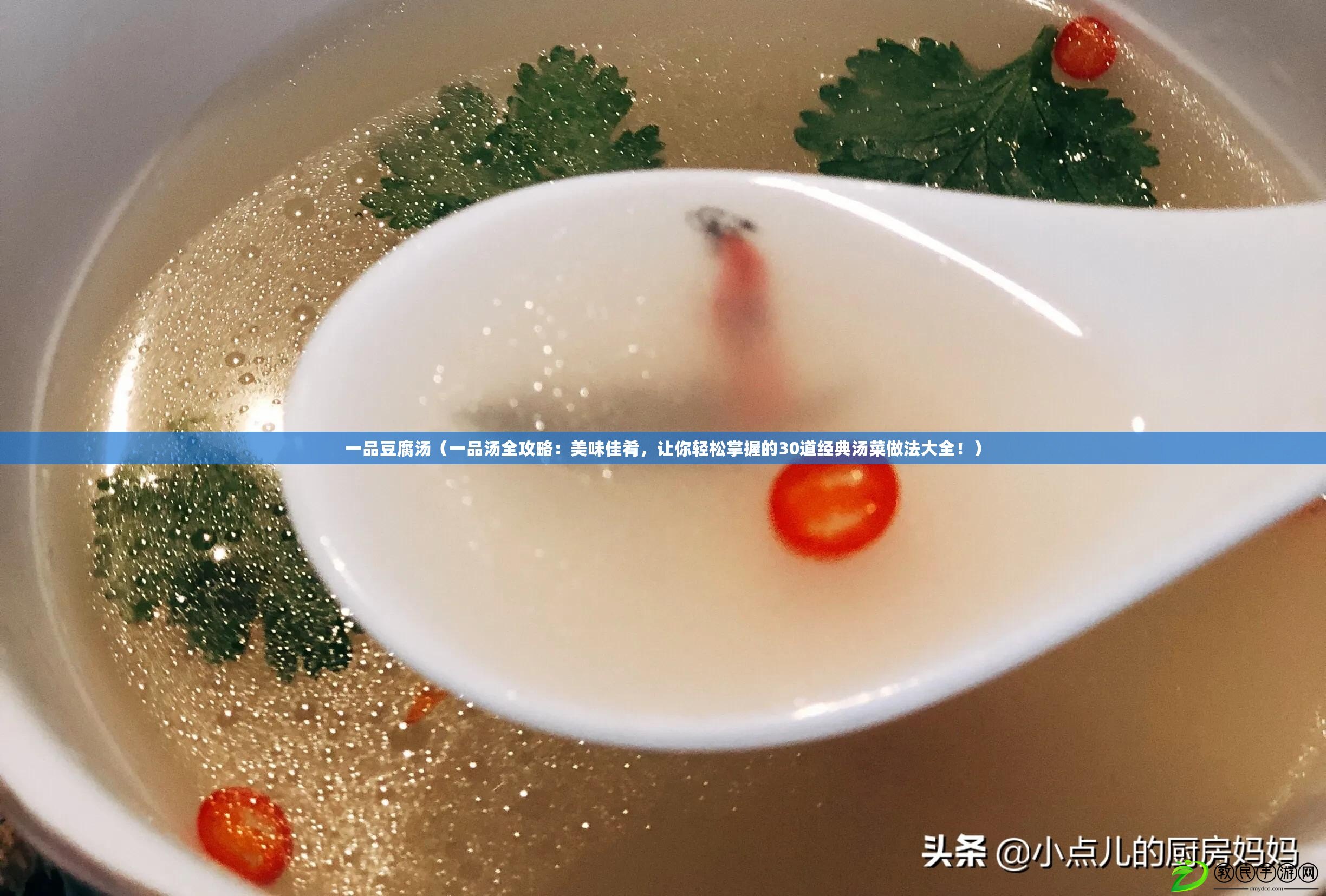 一品豆腐湯（一品湯全攻略：美味佳肴，讓你輕松掌握的30道經(jīng)典湯菜做法大全！）