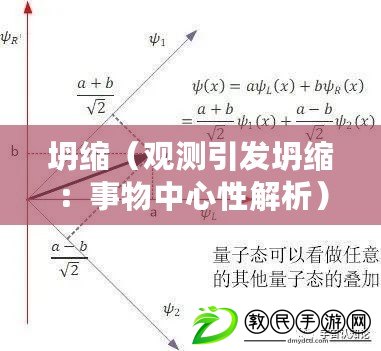 坍縮（觀測引發(fā)坍縮：事物中心性解析）