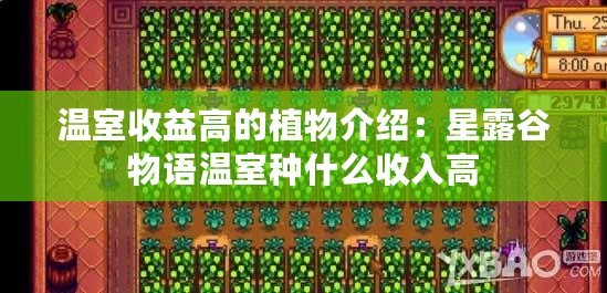 溫室收益高的植物介紹：星露谷物語(yǔ)溫室種什么收入高