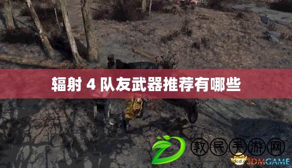 輻射 4 隊(duì)友武器推薦有哪些