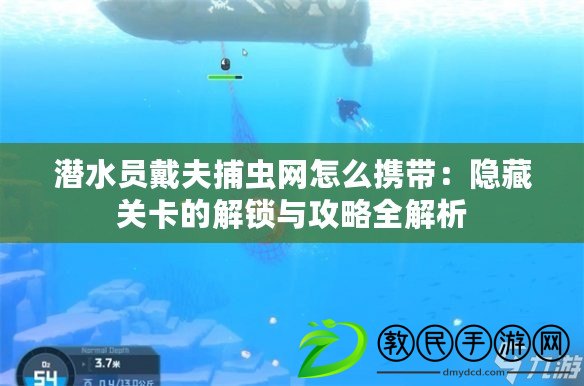 潛水員戴夫捕蟲(chóng)網(wǎng)怎么攜帶：隱藏關(guān)卡的解鎖與攻略全解析