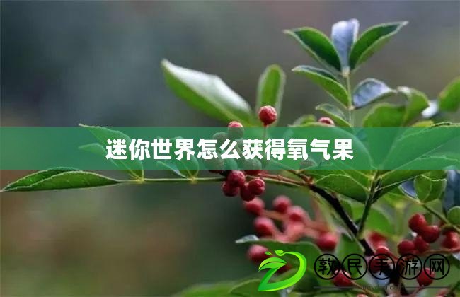 迷你世界怎么獲得氧氣果