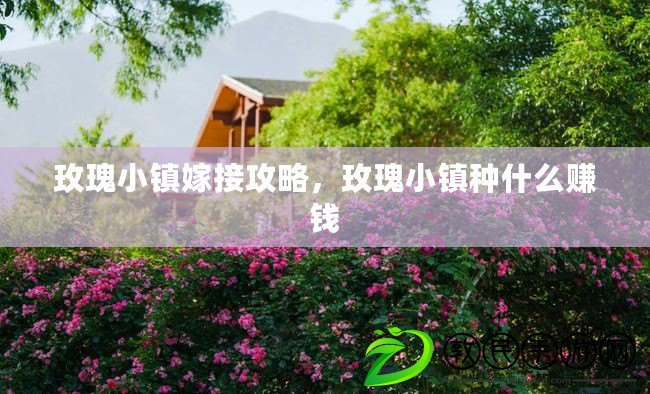 玫瑰小鎮(zhèn)嫁接攻略，玫瑰小鎮(zhèn)種什么賺錢