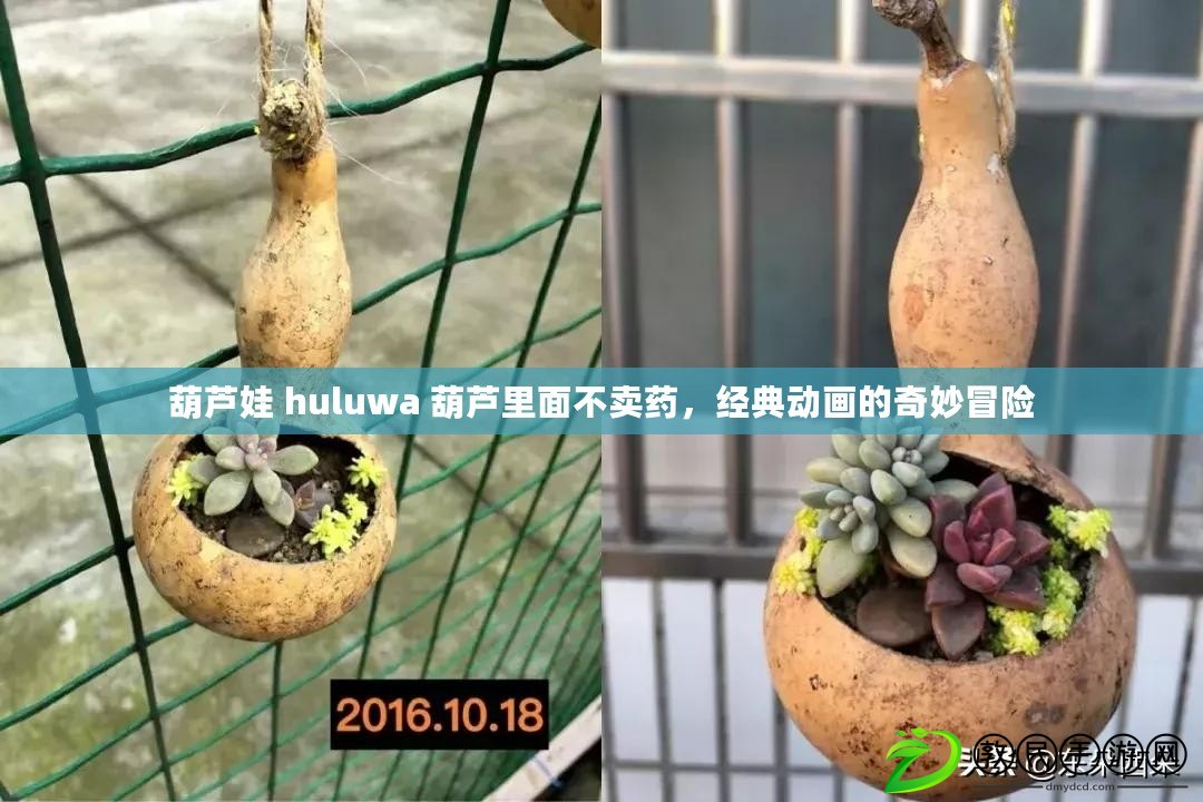 葫蘆娃 huluwa 葫蘆里面不賣藥，經(jīng)典動(dòng)畫的奇妙冒險(xiǎn)