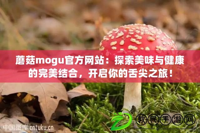 蘑菇mogu官方網(wǎng)站：探索美味與健康的完美結(jié)合，開啟你的舌尖之旅！