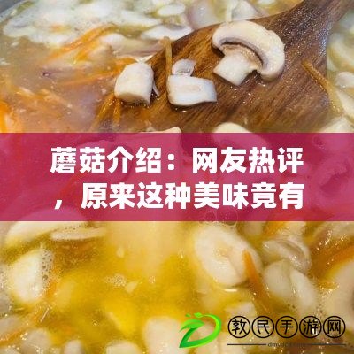 蘑菇介紹：網(wǎng)友熱評，原來這種美味竟有這么多神奇功效！