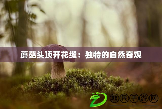 蘑菇頭頂開花縫：獨(dú)特的自然奇觀