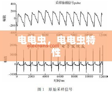 電電蟲，電電蟲特性