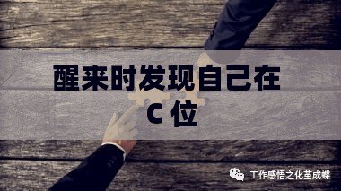 醒來時(shí)發(fā)現(xiàn)自己在 C 位