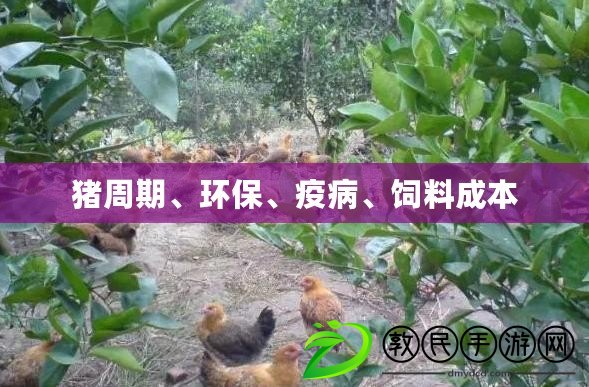 豬周期、環(huán)保、疫病、飼料成本