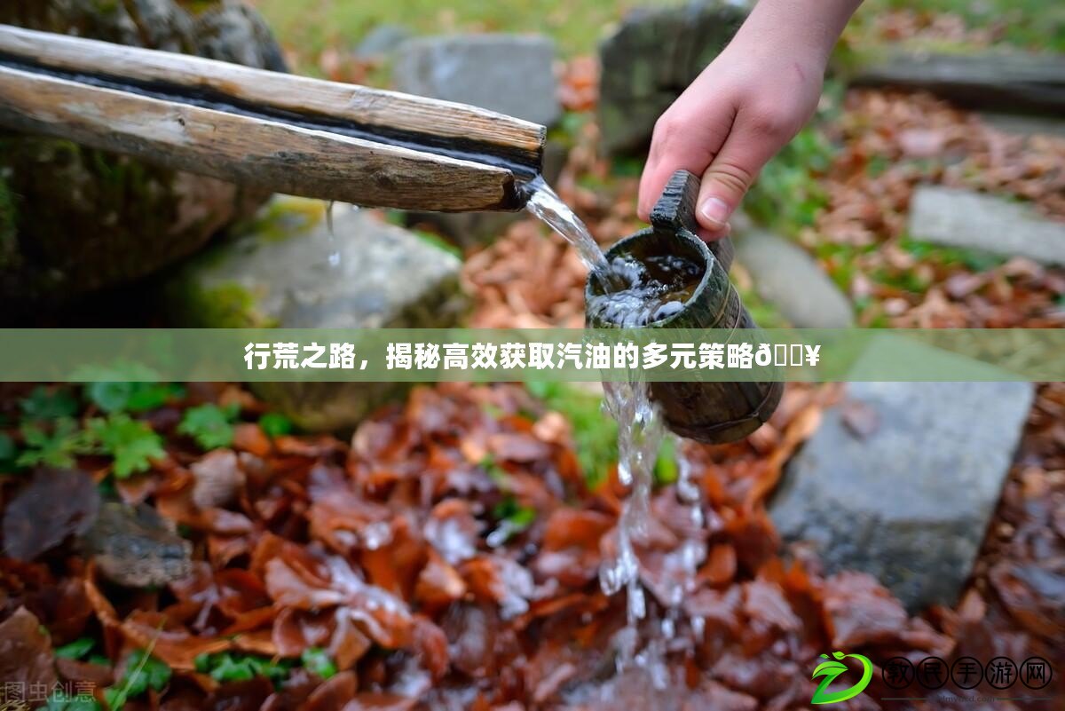 行荒之路，揭秘高效獲取汽油的多元策略??