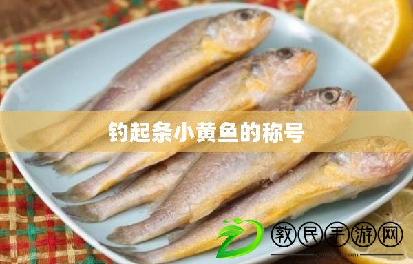 釣起條小黃魚的稱號