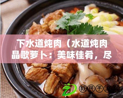 下水道燉肉（水道燉肉晶歌蘿卜：美味佳肴，盡在中心?。? title=