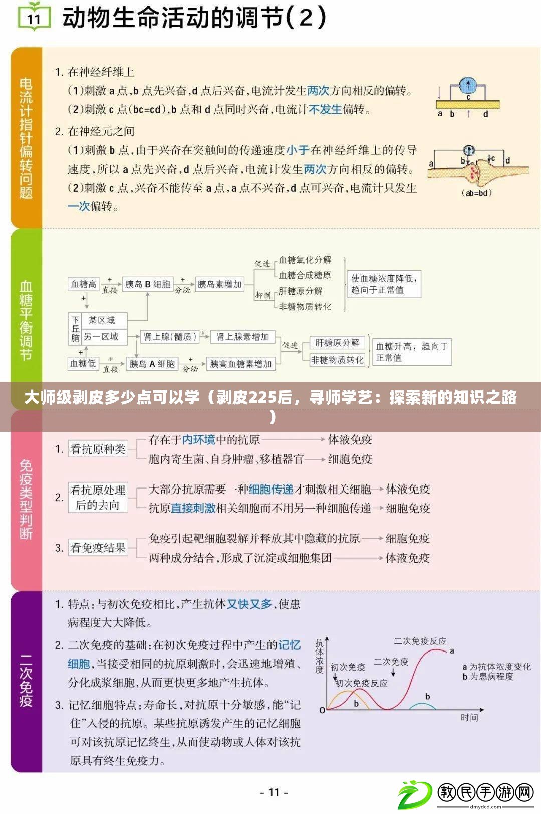 大師級(jí)剝皮多少點(diǎn)可以學(xué)（剝皮225后，尋師學(xué)藝：探索新的知識(shí)之路）