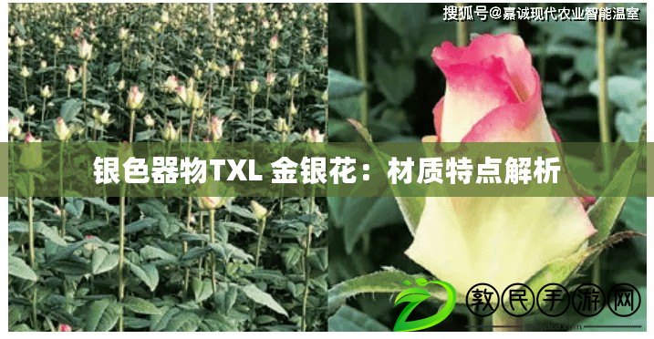 銀色器物TXL 金銀花：材質(zhì)特點(diǎn)解析