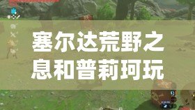 塞爾達荒野之息和普莉珂玩吧（塞爾達荒野之息與普莉珂玩吧：全面對比，帶你探索最佳游戲體驗?。? title=