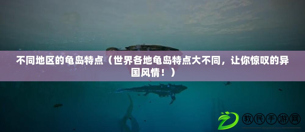 不同地區(qū)的龜島特點（世界各地龜島特點大不同，讓你驚嘆的異國風(fēng)情?。? title=