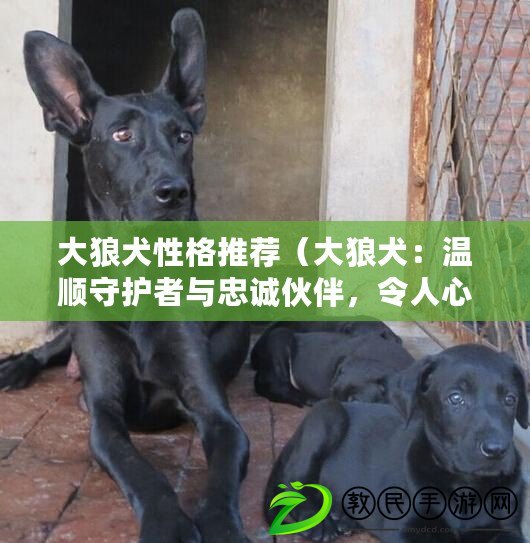 大狼犬性格推薦（大狼犬：溫順守護者與忠誠伙伴，令人心馳神往的巨型犬種！）