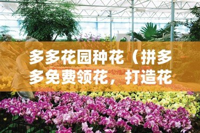 多多花園種花（拼多多免費領(lǐng)花，打造花海盛宴?。? title=