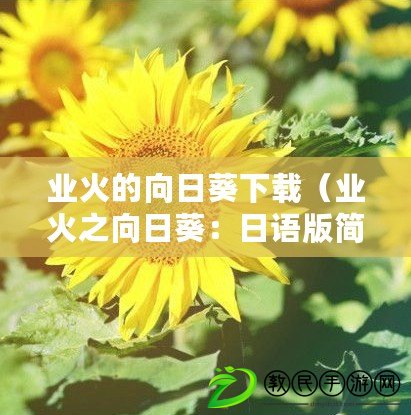 業(yè)火的向日葵下載（業(yè)火之向日葵：日語版簡(jiǎn)體字的奇跡）