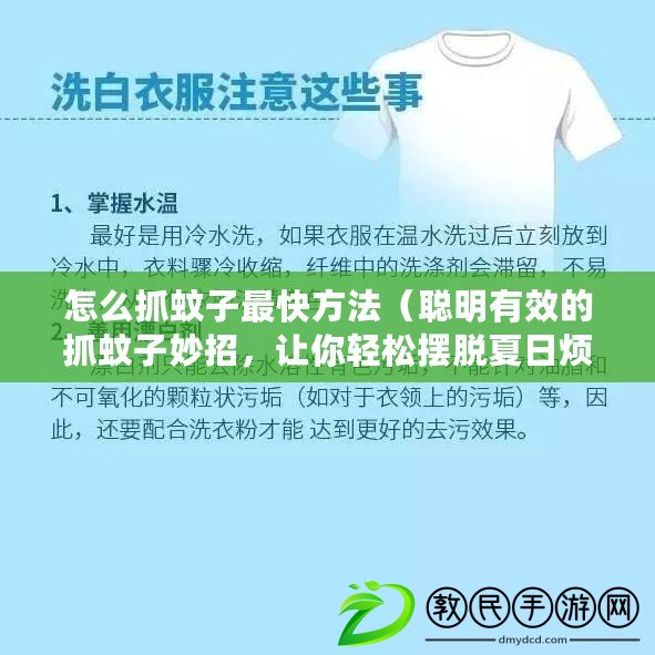 怎么抓蚊子最快方法（聰明有效的抓蚊子妙招，讓你輕松擺脫夏日煩惱?。? title=