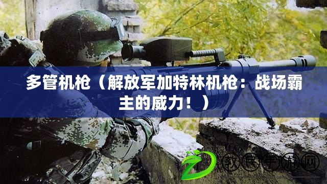 多管機(jī)槍（解放軍加特林機(jī)槍：戰(zhàn)場霸主的威力?。? title=