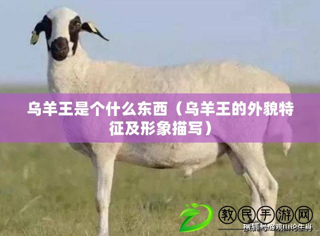 烏羊王是個(gè)什么東西（烏羊王的外貌特征及形象描寫）