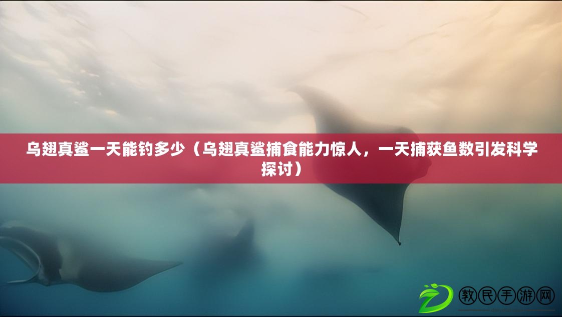 烏翅真鯊一天能釣多少（烏翅真鯊捕食能力驚人，一天捕獲魚數(shù)引發(fā)科學(xué)探討）