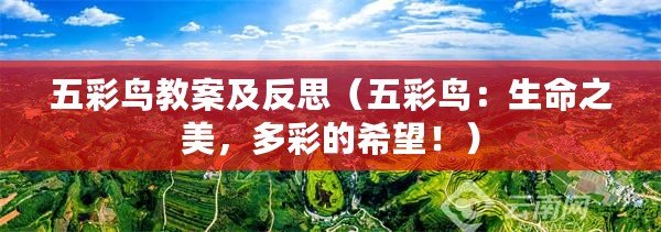 五彩鳥(niǎo)教案及反思（五彩鳥(niǎo)：生命之美，多彩的希望?。? title=