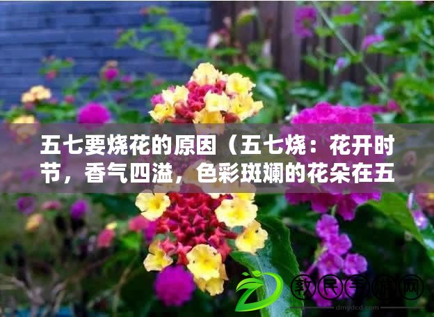 五七要燒花的原因（五七燒：花開(kāi)時(shí)節(jié)，香氣四溢，色彩斑斕的花朵在五七燒中綻放）