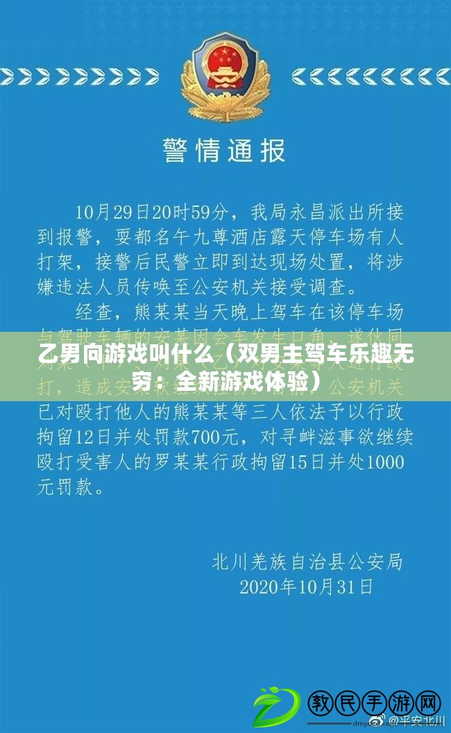 乙男向游戲叫什么（雙男主駕車樂趣無窮：全新游戲體驗(yàn)）