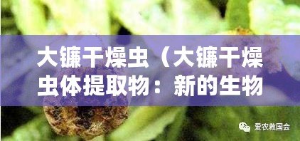 大鐮干燥蟲(chóng)（大鐮干燥蟲(chóng)體提取物：新的生物活性成分及應(yīng)用前景）