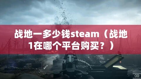 戰(zhàn)地一多少錢steam（戰(zhàn)地1在哪個(gè)平臺(tái)購(gòu)買？）