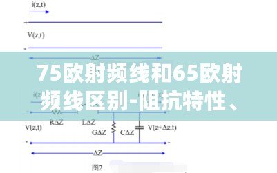 75歐射頻線和65歐射頻線區(qū)別-阻抗特性、應(yīng)用場(chǎng)景和傳輸性能的差異